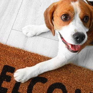 Png,%89PNG%0D%0A%1A%0A%00%00%00%0DIHDR%00%00%00%A0%00%00%00%A0%01%03%00%00%00%B1%01%F5n%00%00%00%03PLTE%00%00%FF%8Ax%D2W%00%00%00%01tRNS%00%40%E6%D8f%00%00%00%09pHYs%00%00%0E%C4%00%00%0E%C4%01%95%2B%0E%1B%00%00%00%19IDATH%C7%ED%C1%01%0D%00%00%00%C2%A0%F7O%ED%EC%01%14%00%00%007%0D%20%00%01%5CD%11%8F%00%00%00%00IEND%AEB%60%82