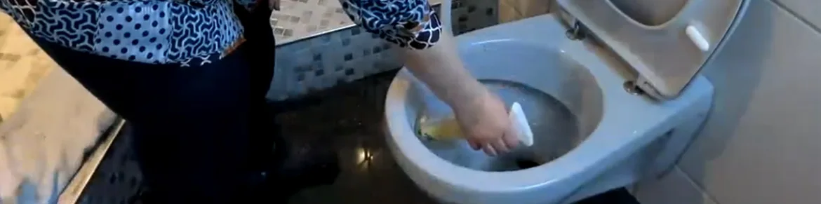 Toilette EASYFresh 1170x291 Jpg