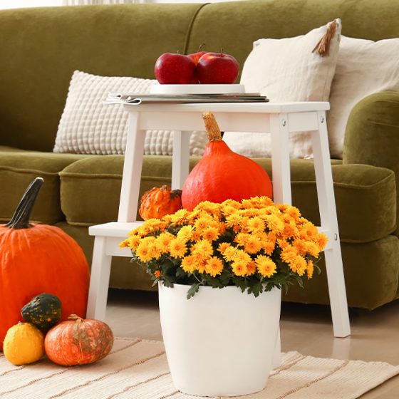 Meine To-Do’s für jeden Raum: Großreinemachen im Herbst
