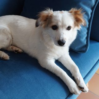 Png,%89PNG%0D%0A%1A%0A%00%00%00%0DIHDR%00%00%00%A0%00%00%00%A0%01%03%00%00%00%B1%01%F5n%00%00%00%03PLTE%00%00%FF%8Ax%D2W%00%00%00%01tRNS%00%40%E6%D8f%00%00%00%09pHYs%00%00%0E%C4%00%00%0E%C4%01%95%2B%0E%1B%00%00%00%19IDATH%C7%ED%C1%01%0D%00%00%00%C2%A0%F7O%ED%EC%01%14%00%00%007%0D%20%00%01%5CD%11%8F%00%00%00%00IEND%AEB%60%82