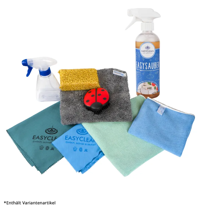 Autoputz Set EASYSauber 2025 730x730 Jpg