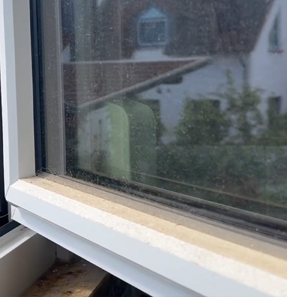 Png,%89PNG%0D%0A%1A%0A%00%00%00%0DIHDR%00%00%00%A0%00%00%00%A0%01%03%00%00%00%B1%01%F5n%00%00%00%03PLTE%00%00%FF%8Ax%D2W%00%00%00%01tRNS%00%40%E6%D8f%00%00%00%09pHYs%00%00%0E%C4%00%00%0E%C4%01%95%2B%0E%1B%00%00%00%19IDATH%C7%ED%C1%01%0D%00%00%00%C2%A0%F7O%ED%EC%01%14%00%00%007%0D%20%00%01%5CD%11%8F%00%00%00%00IEND%AEB%60%82