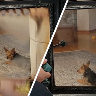 Png,%89PNG%0D%0A%1A%0A%00%00%00%0DIHDR%00%00%00%A0%00%00%00%A0%01%03%00%00%00%B1%01%F5n%00%00%00%03PLTE%00%00%FF%8Ax%D2W%00%00%00%01tRNS%00%40%E6%D8f%00%00%00%09pHYs%00%00%0E%C4%00%00%0E%C4%01%95%2B%0E%1B%00%00%00%19IDATH%C7%ED%C1%01%0D%00%00%00%C2%A0%F7O%ED%EC%01%14%00%00%007%0D%20%00%01%5CD%11%8F%00%00%00%00IEND%AEB%60%82