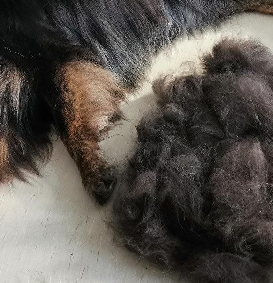 Png,%89PNG%0D%0A%1A%0A%00%00%00%0DIHDR%00%00%00%A0%00%00%00%A0%01%03%00%00%00%B1%01%F5n%00%00%00%03PLTE%00%00%FF%8Ax%D2W%00%00%00%01tRNS%00%40%E6%D8f%00%00%00%09pHYs%00%00%0E%C4%00%00%0E%C4%01%95%2B%0E%1B%00%00%00%19IDATH%C7%ED%C1%01%0D%00%00%00%C2%A0%F7O%ED%EC%01%14%00%00%007%0D%20%00%01%5CD%11%8F%00%00%00%00IEND%AEB%60%82