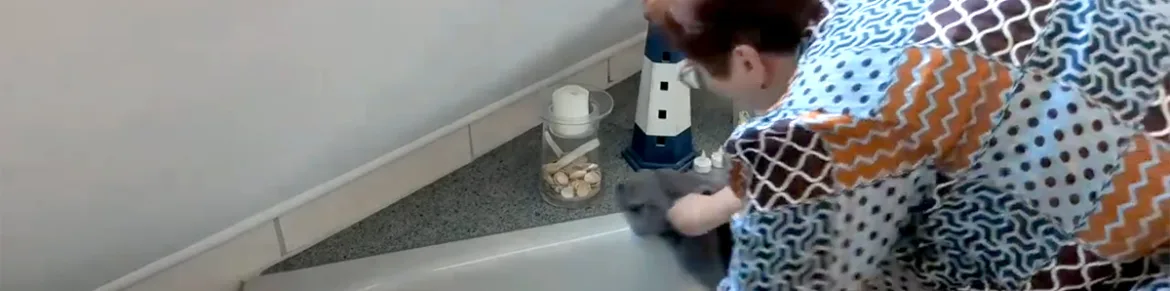 Staubwischen Im Bad – Sanft Schnell Und Ohne Wirbel 1170x291 Jpg