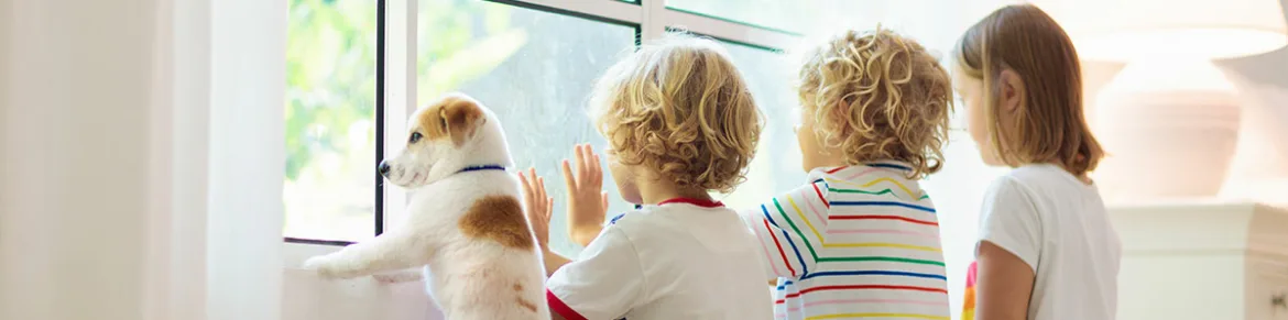 Chemiefrei Kindersicher 1170x291 Jpg